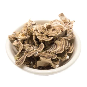 Dried Porcini Mushrooms