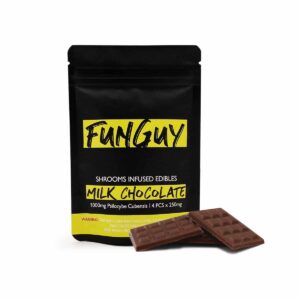 FunGuy Mushroom chocolate bar/Mushroom Chocolate Wales