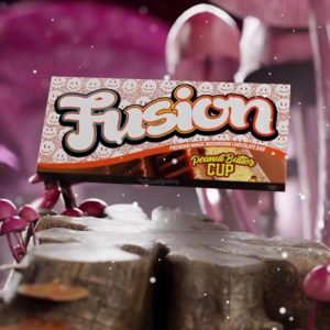Fusion Bars Peanut Butter Cup |10 Best mushroom chocolate uk